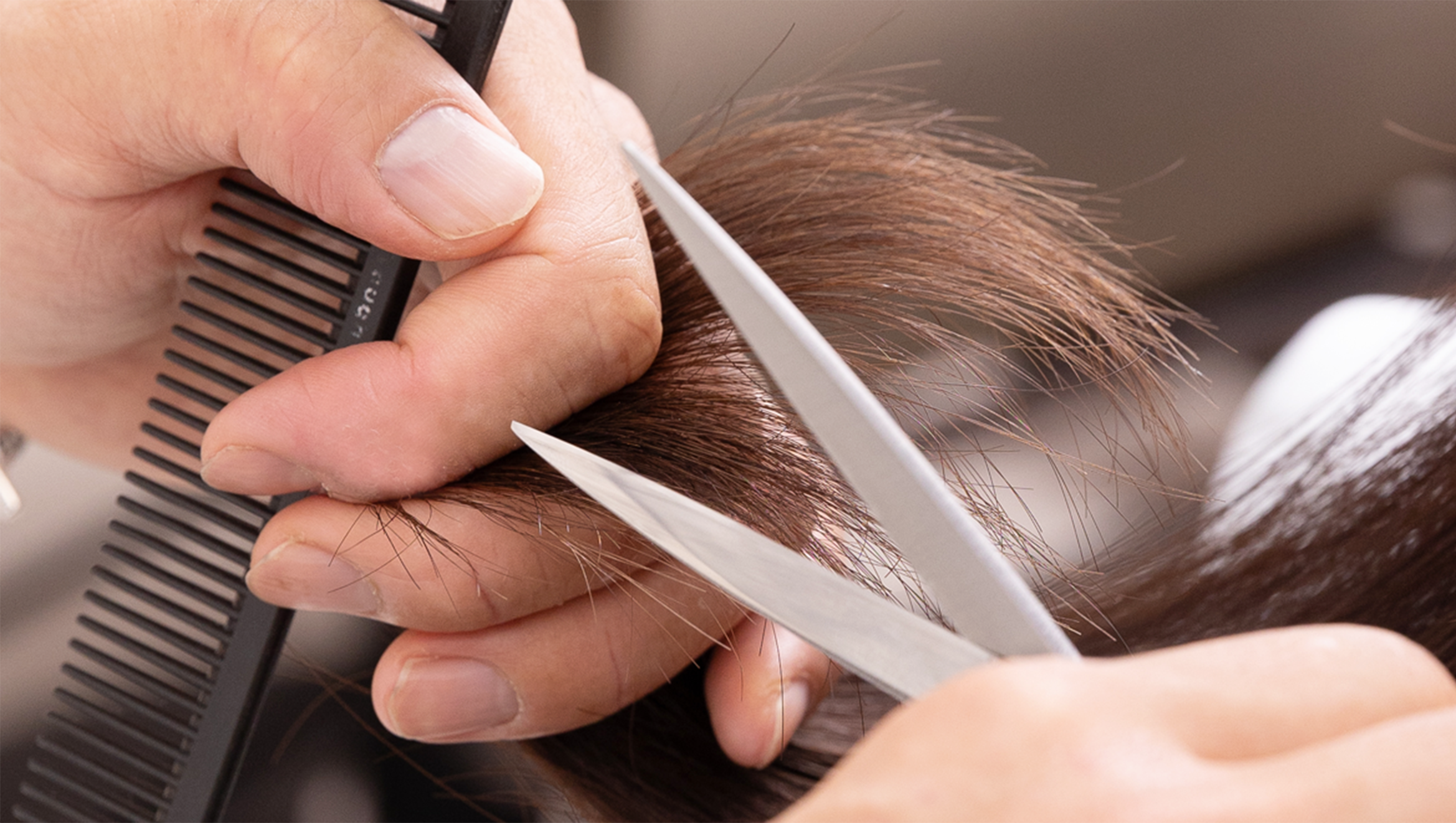 カットしてる画像